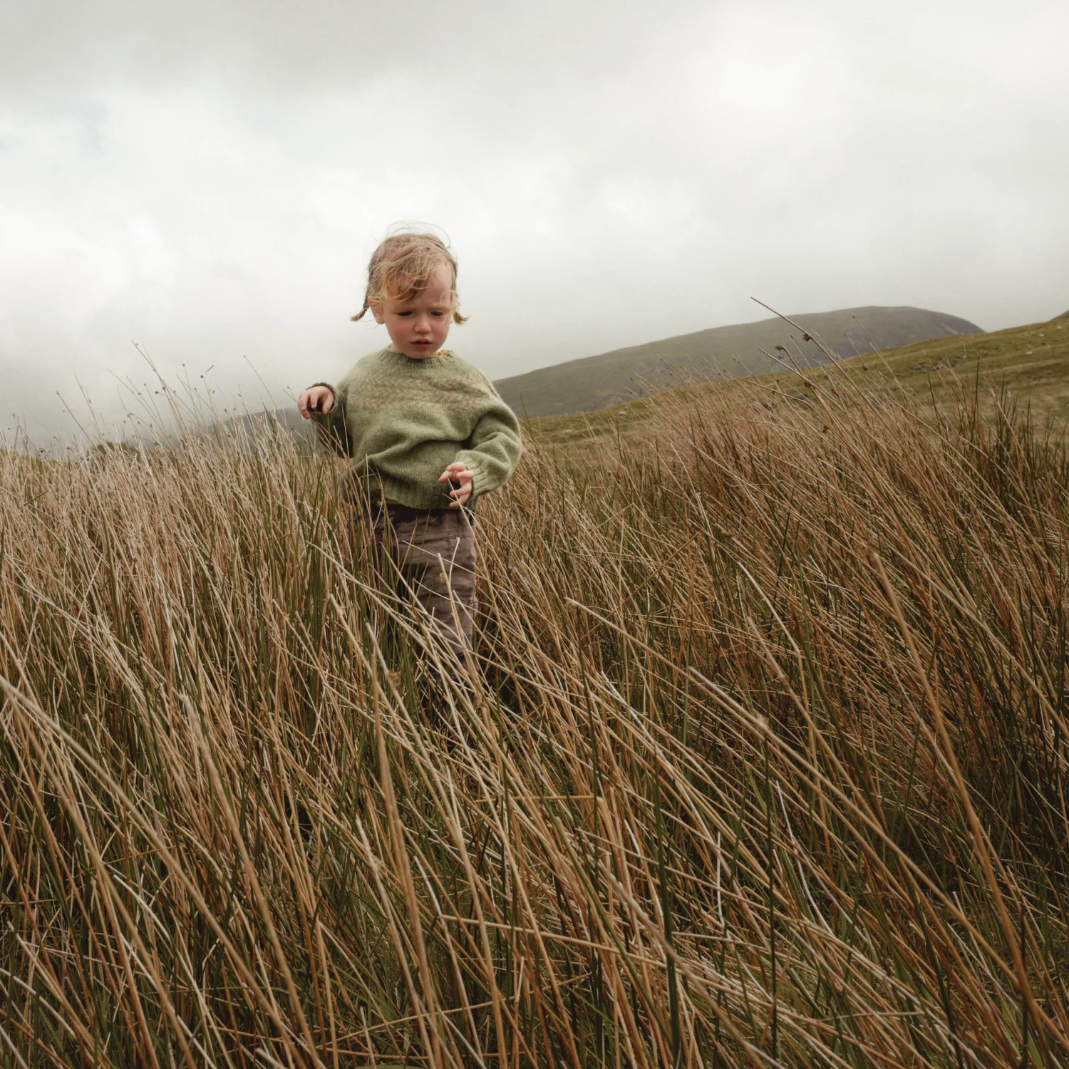 Garden Sweater - Lambswool - Sage 5 Garden Sweater - Lambswool - Sage - Image 3