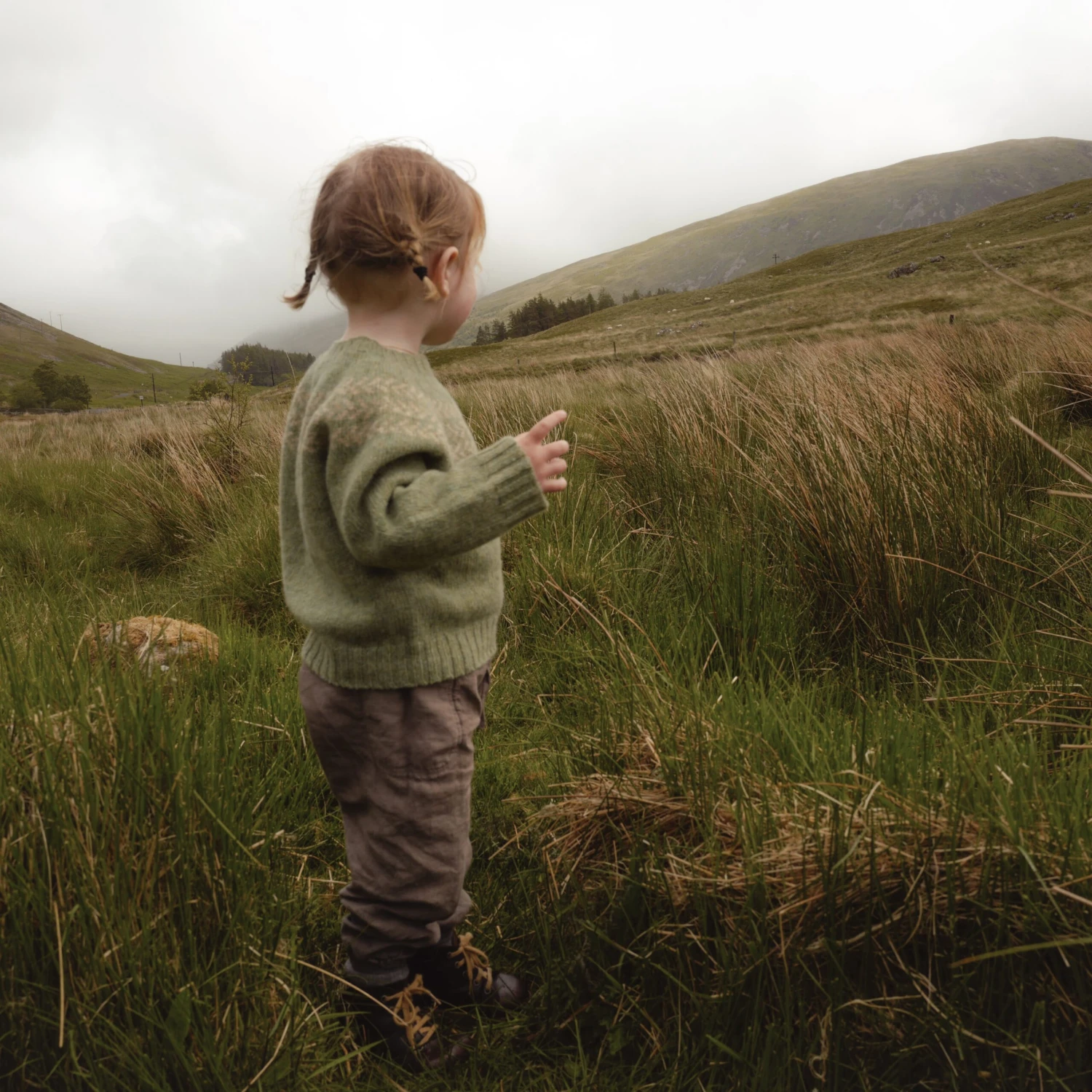 Garden Sweater - Lambswool - Sage 7 Garden Sweater - Lambswool - Sage - Image 5