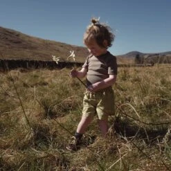 Mama Owl -Mama Owl MamaOwl SISKIN Smew Timber 1