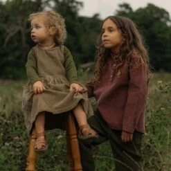 Aspen Dress - Cotton Corduroy - Mole -Mama Owl mamaowl siskin AspenDress CottonCorduroy Mole DSC 1360