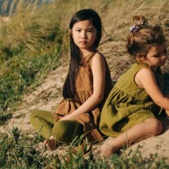 Aspen Dress - Linen - Hazelnut 36 Aspen Dress - Linen - Hazelnut -Mama Owl mamaowl siskin AspenDress Linen Hazelnut AspenDress Linen Olive linen 8484