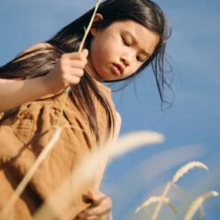 Aspen Dress - Linen - Hazelnut 34 Aspen Dress - Linen - Hazelnut -Mama Owl mamaowl siskin AspenDress Linen Hazelnut linen 8561