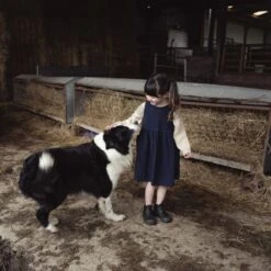 Aspen Dress - Linen - Midnight -Mama Owl mamaowl siskin AspenDress Linen Midnight L1510885