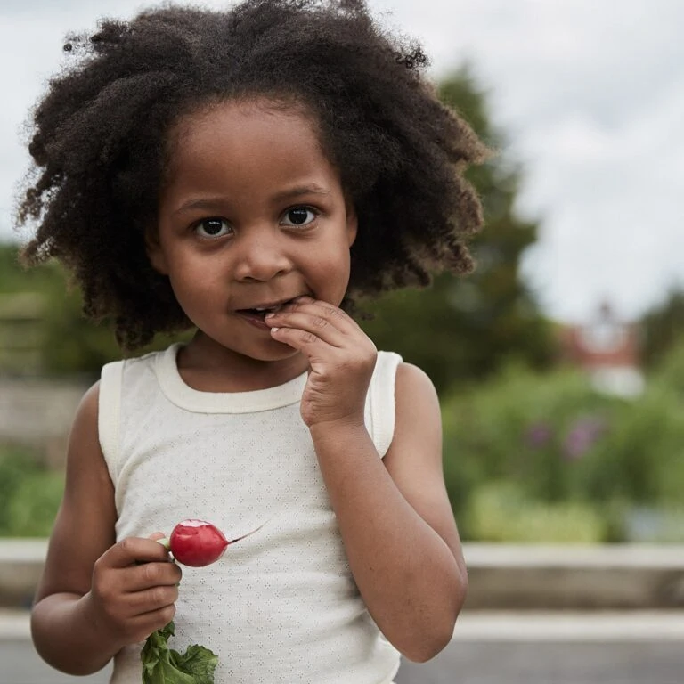 Mama Owl -Mama Owl mamaowl siskin 25A0296 768x768 1