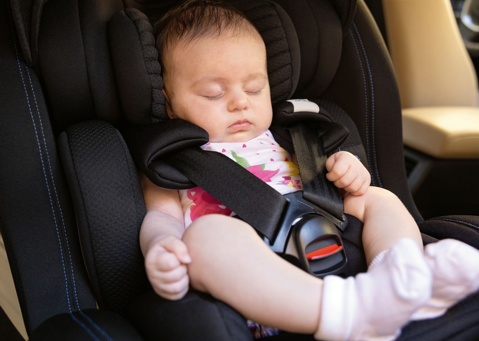 Mama Owl -Mama Owl unnamed